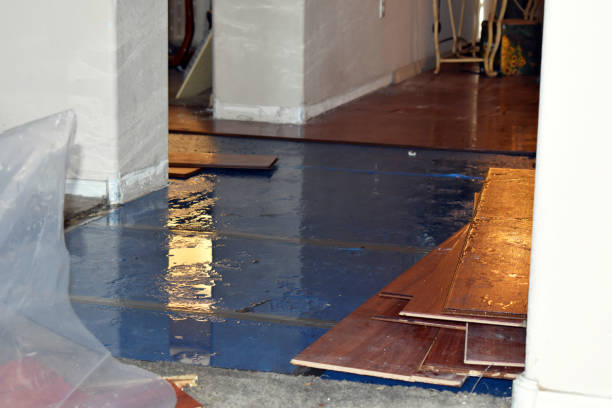 Professional Basement Flood Cleanup technician working in Port Murray, NJ